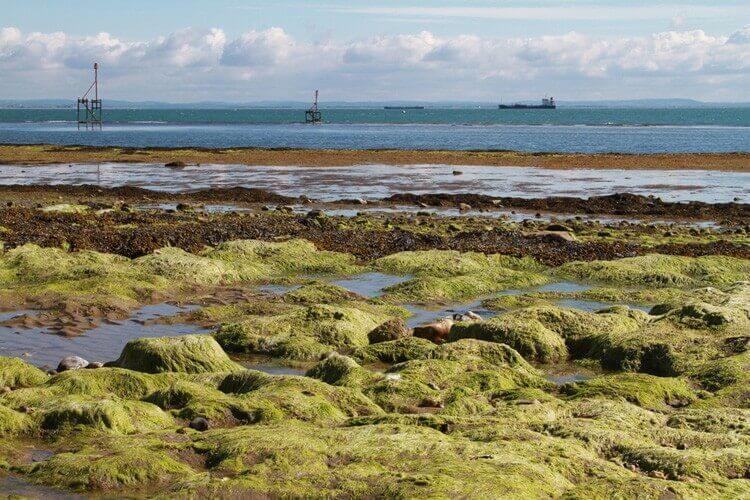 Bembridge Forelands Beach 2