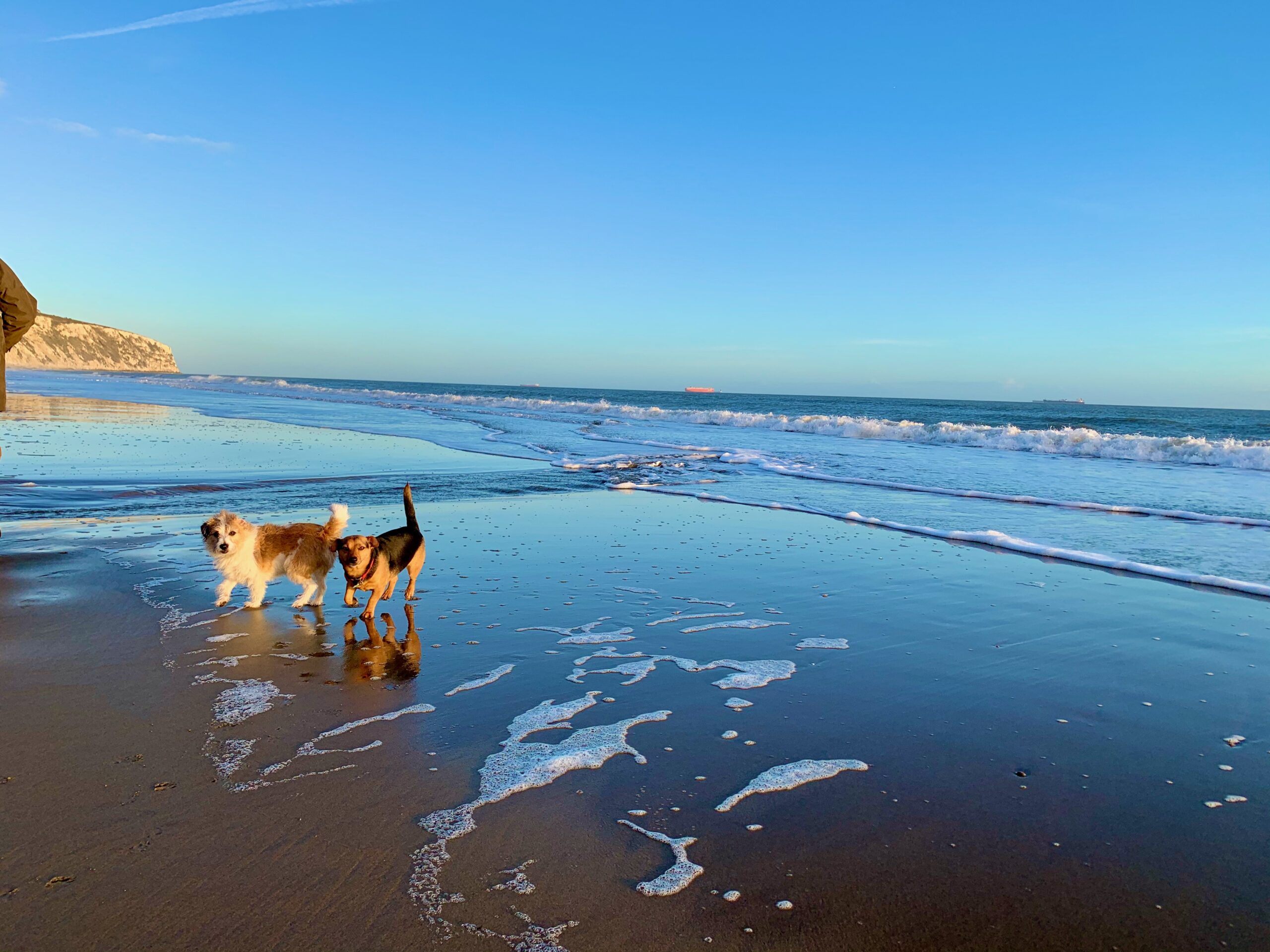 Just For You Holiday Homes Beach