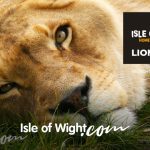 Isle of Wight Webcam Streams