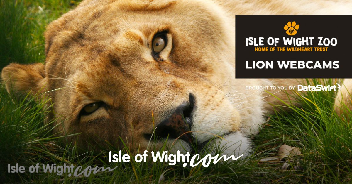 Isle of Wight Webcam Streams