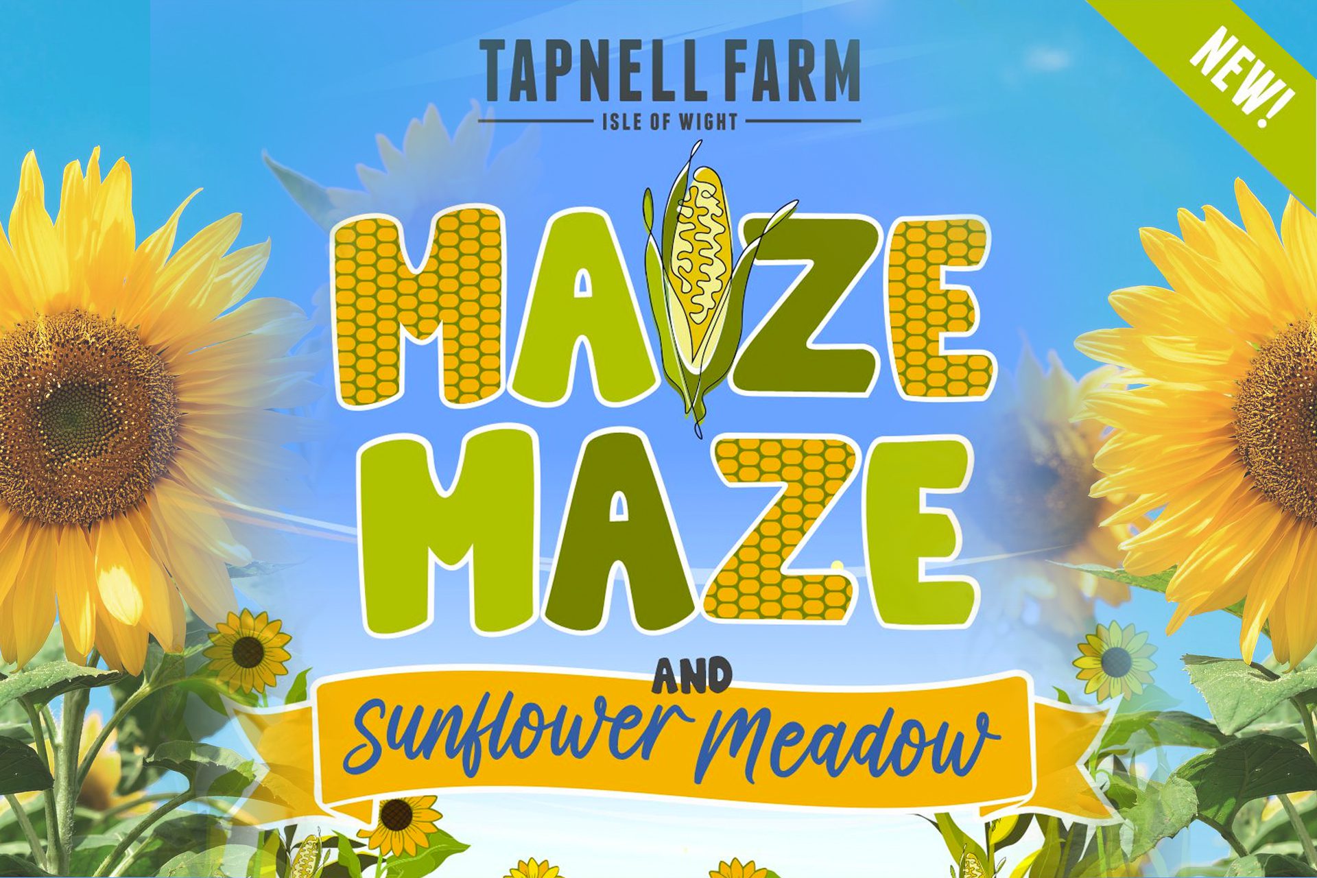 Maize maze blog image