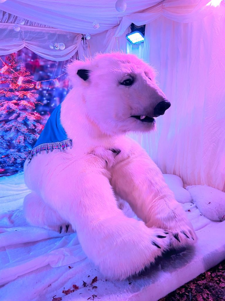 Polar 6