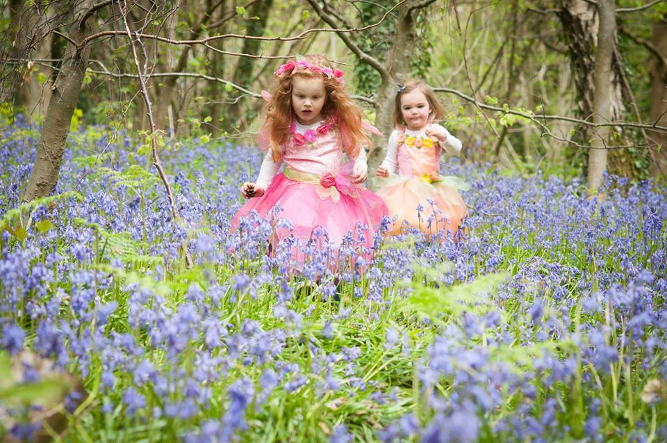 RH Bluebells RH Bluebells