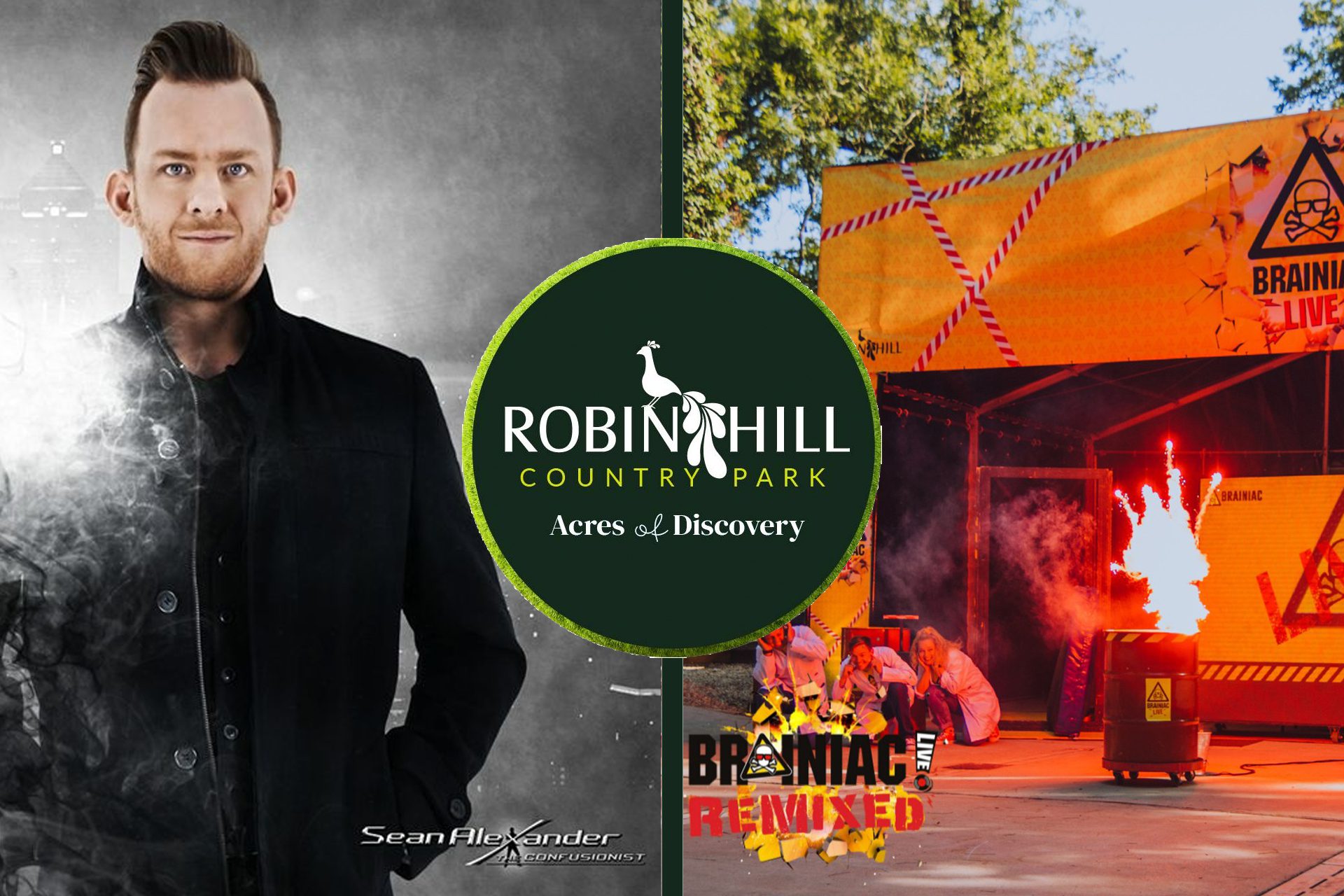Robin hill summer