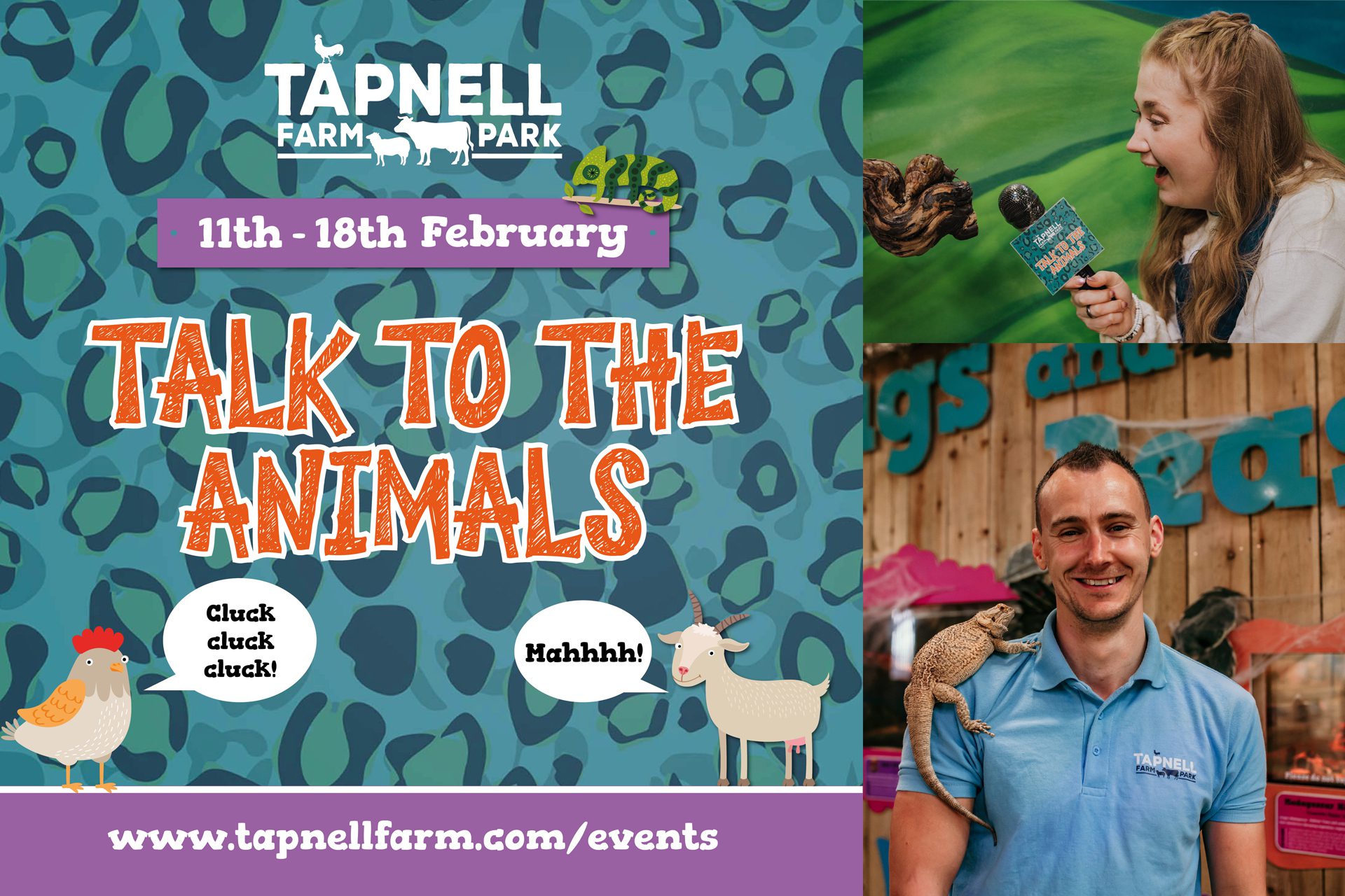 Tapnell Farm blog image