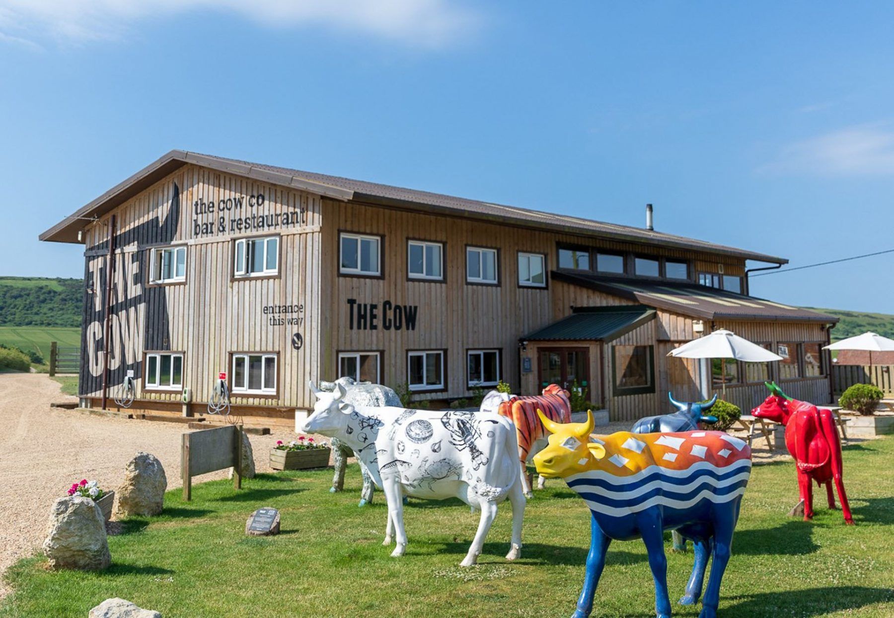 The Cow outside 1