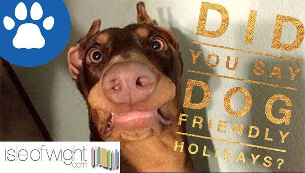 dog friendly holidays copy